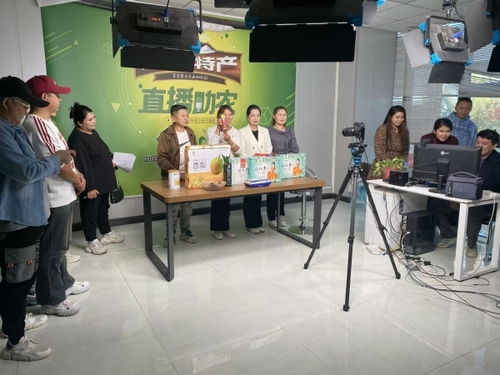 技能培训赋能 激活拜城就业创业与产业发展新动能