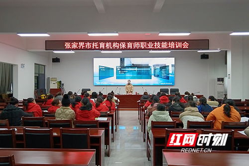 张家界市托育机构保育师职业技能培训助力家政服务专业化发展