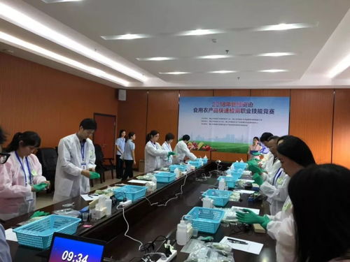 拼的就是实力——张槎街道食用农产品快速检测职业技能竞赛纪实